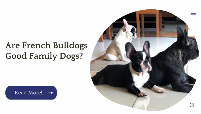 Are French Bulldogs Good Family Dogs?