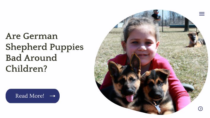 Are German Shepherd Puppies Bad Around Children?