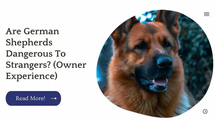 Are German Shepherds Dangerous To Strangers? (Owner Experience)