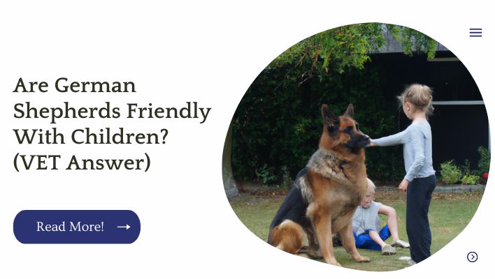 Are German Shepherds Friendly With Children? (VET Answer)