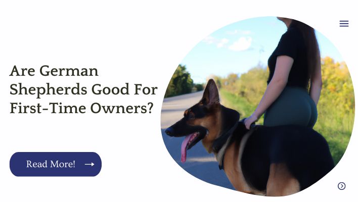 Are German Shepherds Good For First-Time Owners?