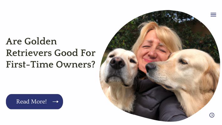 Are Golden Retrievers Good For First-Time Owners?