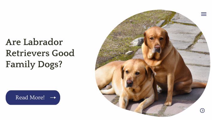 Are Labrador Retrievers Good Family Dogs?