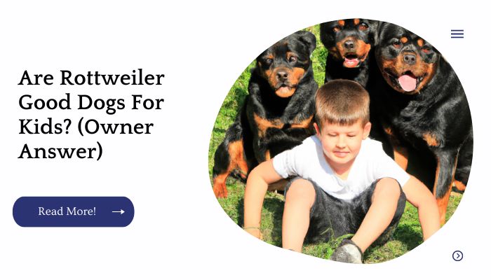 Are Rottweiler Good Dogs For Kids? (Owner Answer)