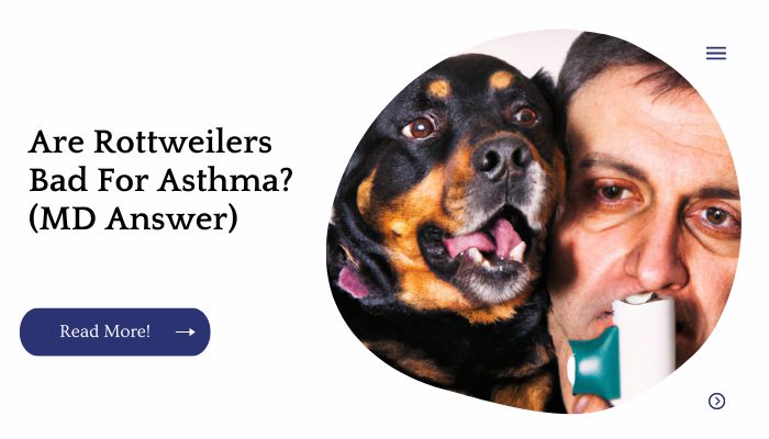 Are Rottweilers Bad For Asthma? (MD Answer)