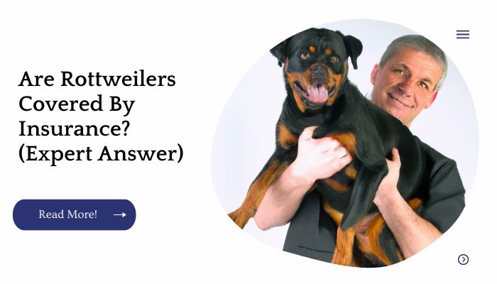 Are Rottweilers Covered By Insurance? (Expert Answer)