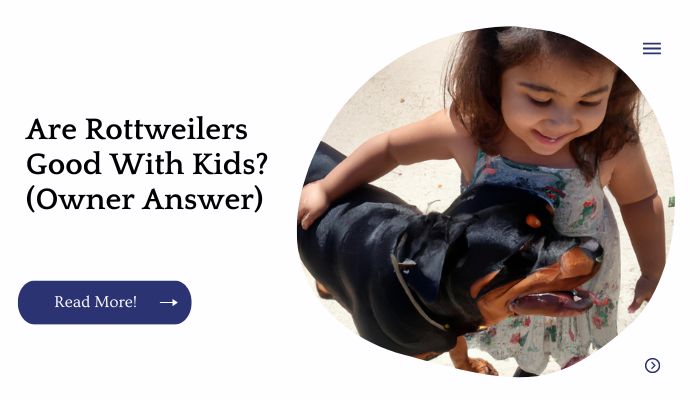 Are Rottweilers Good With Kids? (Owner Answer)