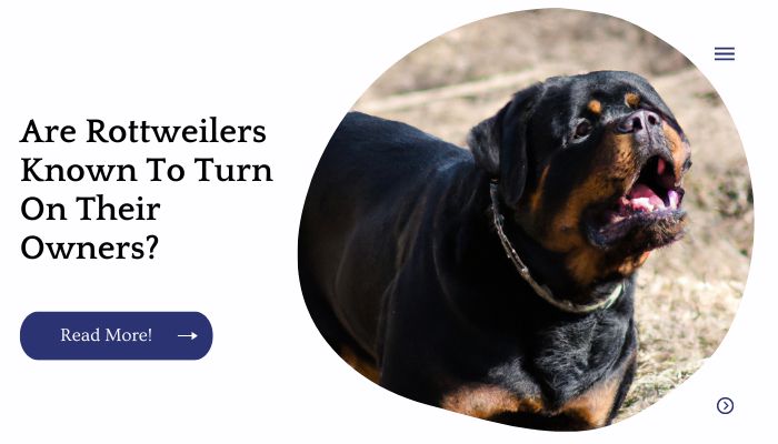 Are Rottweilers Known To Turn On Their Owners?