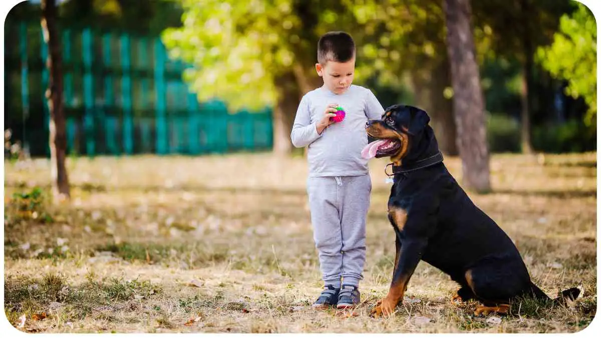 Boerboel vs. Rottweiler: A Comprehensive Comparison