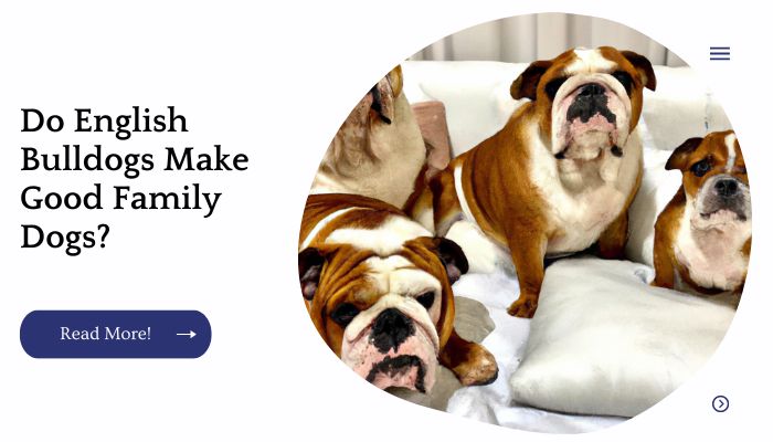 Do English Bulldogs Make Good Family Dogs?