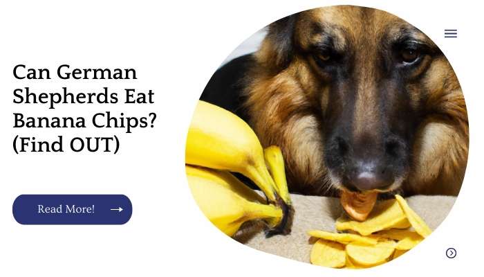 are bananas good for german shepherds