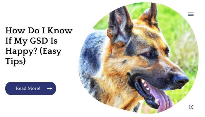 How Do I Know If My GSD Is Happy? (Easy Tips)