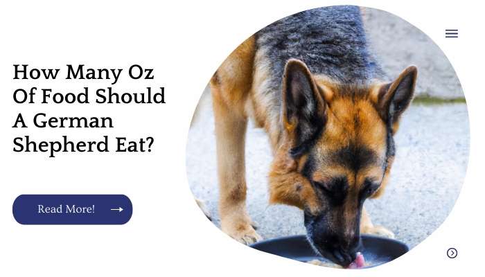 How Many Oz Of Food Should A German Shepherd Eat?