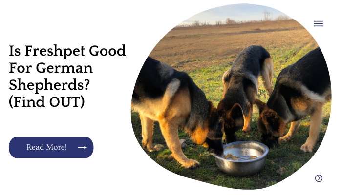 Is Freshpet Good For German Shepherds? (Find OUT)