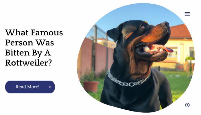 What Famous Person Was Bitten By A Rottweiler?