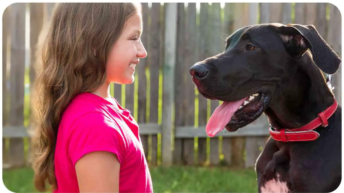 Best Companion Dog for Great Danes: Size Matters