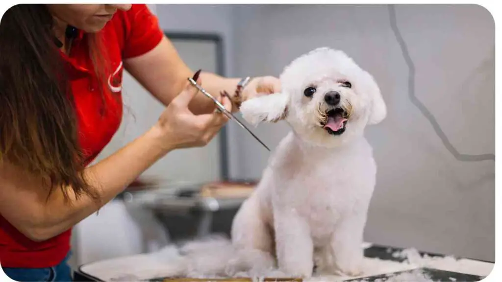 a person is cutting the hair of a dog.