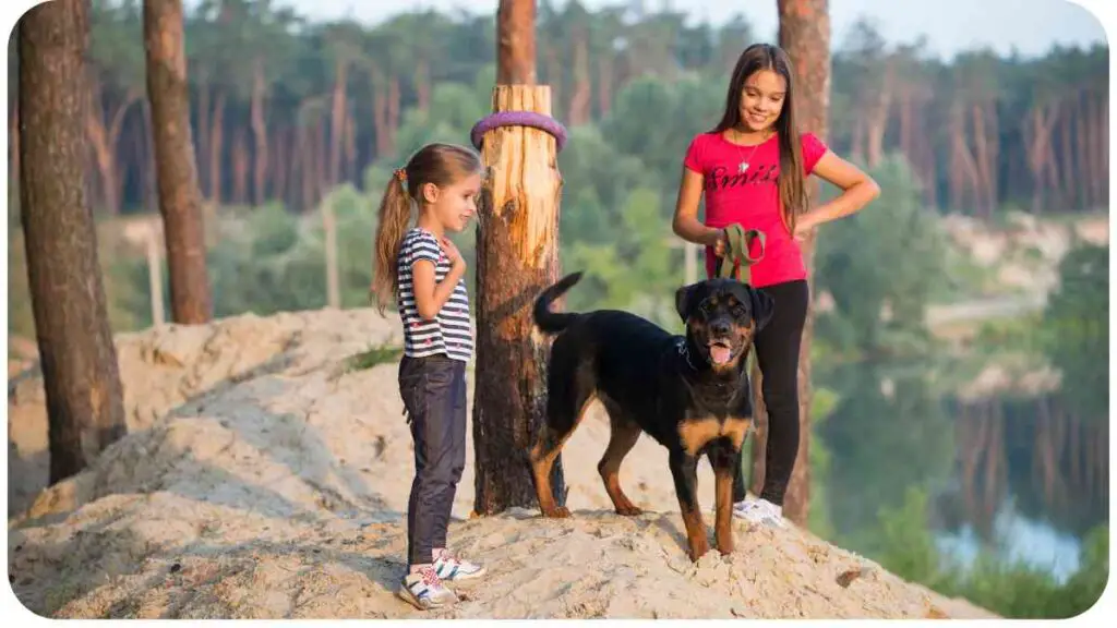 two individuals standing next to a dog in the woods