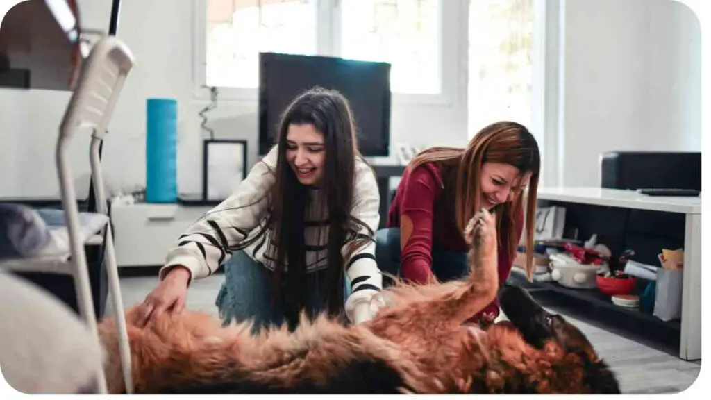 two people petting a dog in a living room