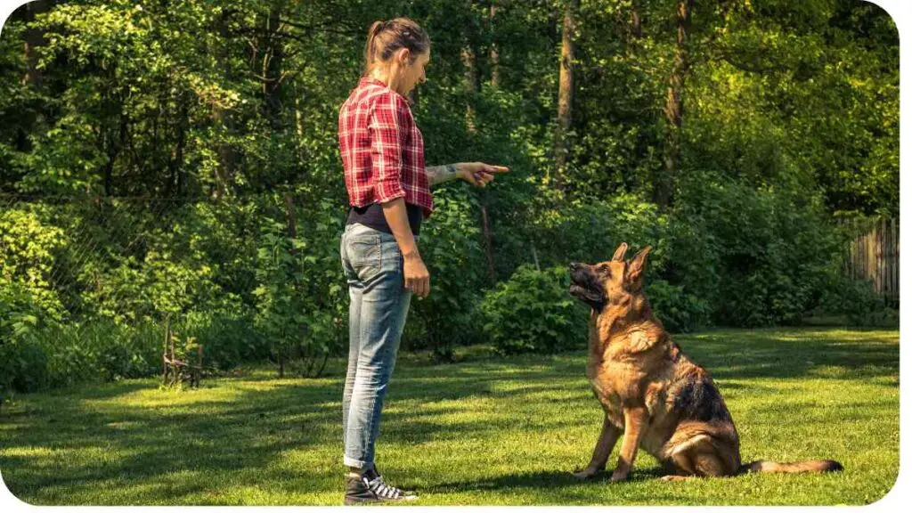 a person standing next to a dog